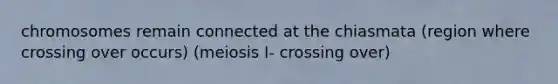 chromosomes remain connected at the chiasmata (region where crossing over occurs) (meiosis I- crossing over)