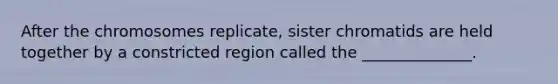 After the chromosomes replicate, sister chromatids are held together by a constricted region called the ______________.