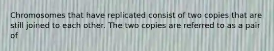 Chromosomes that have replicated consist of two copies that are still joined to each other. The two copies are referred to as a pair of