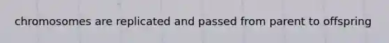 chromosomes are replicated and passed from parent to offspring