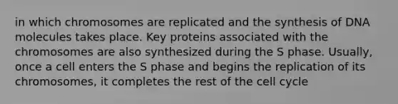 in which chromosomes are replicated and the synthesis of DNA molecules takes place. Key proteins associated with the chromosomes are also synthesized during the S phase. Usually, once a cell enters the S phase and begins the replication of its chromosomes, it completes the rest of the cell cycle