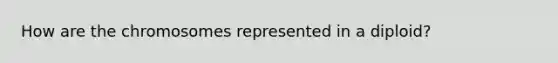 How are the chromosomes represented in a diploid?