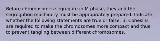 Before chromosomes segregate in M phase, they and the segregation machinery must be appropriately prepared. Indicate whether the following statements are true or false. B. Cohesins are required to make the chromosomes more compact and thus to prevent tangling between different chromosomes.