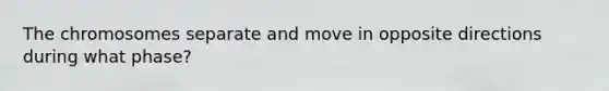 The chromosomes separate and move in opposite directions during what phase?