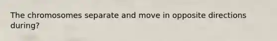 The chromosomes separate and move in opposite directions during?