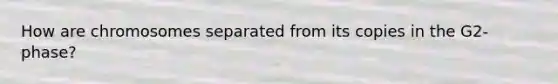 How are chromosomes separated from its copies in the G2-phase?