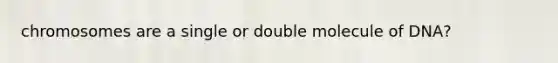 chromosomes are a single or double molecule of DNA?