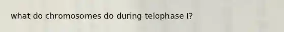 what do chromosomes do during telophase I?