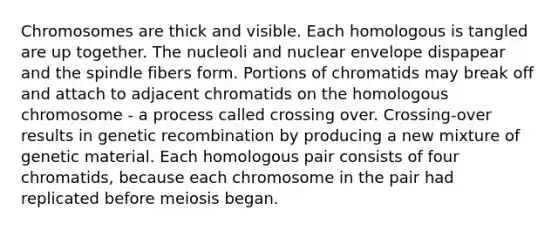 Chromosomes are thick and visible. Each homologous is tangled are up together. The nucleoli and nuclear envelope dispapear and the spindle fibers form. Portions of chromatids may break off and attach to adjacent chromatids on the homologous chromosome - a process called crossing over. Crossing-over results in genetic recombination by producing a new mixture of genetic material. Each homologous pair consists of four chromatids, because each chromosome in the pair had replicated before meiosis began.