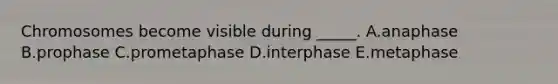 Chromosomes become visible during _____. A.anaphase B.prophase C.prometaphase D.interphase E.metaphase