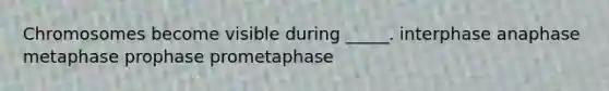 Chromosomes become visible during _____. interphase anaphase metaphase prophase prometaphase