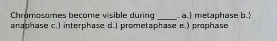 Chromosomes become visible during _____. a.) metaphase b.) anaphase c.) interphase d.) prometaphase e.) prophase