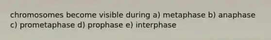 chromosomes become visible during a) metaphase b) anaphase c) prometaphase d) prophase e) interphase