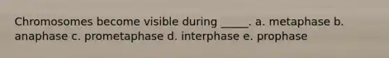 Chromosomes become visible during _____. a. metaphase b. anaphase c. prometaphase d. interphase e. prophase