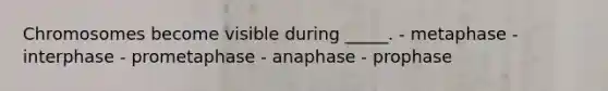 Chromosomes become visible during _____. - metaphase - interphase - prometaphase - anaphase - prophase