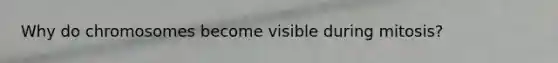 Why do chromosomes become visible during mitosis?