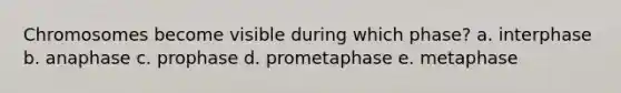 Chromosomes become visible during which phase? a. interphase b. anaphase c. prophase d. prometaphase e. metaphase