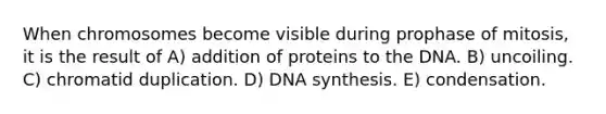 When chromosomes become visible during prophase of mitosis, it is the result of A) addition of proteins to the DNA. B) uncoiling. C) chromatid duplication. D) DNA synthesis. E) condensation.