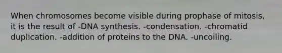 When chromosomes become visible during prophase of mitosis, it is the result of -DNA synthesis. -condensation. -chromatid duplication. -addition of proteins to the DNA. -uncoiling.