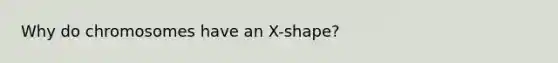 Why do chromosomes have an X-shape?