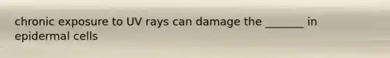 chronic exposure to UV rays can damage the _______ in epidermal cells