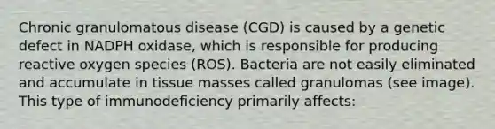 Chronic granulomatous disease (CGD) is caused by a genetic defect in NADPH oxidase, which is responsible for producing reactive oxygen species (ROS). Bacteria are not easily eliminated and accumulate in tissue masses called granulomas (see image). This type of immunodeficiency primarily affects: