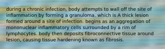 during a chronic infection, body attempts to wall off the site of inflammation by forming a granuloma. which is A thick lesion formed around a site of infection. begins as an aggregation of mononuclear inflammatory cells surrounded by a rim of lymphocytes. body then deposits fibro<a href='https://www.questionai.com/knowledge/kYDr0DHyc8-connective-tissue' class='anchor-knowledge'>connective tissue</a> around lesion, causing tissue hardening known as fibrosis.