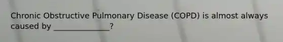 Chronic Obstructive Pulmonary Disease (COPD) is almost always caused by ______________?