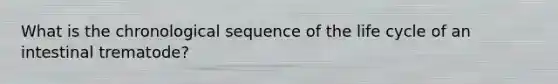 What is the chronological sequence of the life cycle of an intestinal trematode?