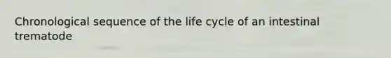 Chronological sequence of the life cycle of an intestinal trematode