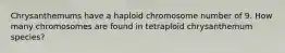 Chrysanthemums have a haploid chromosome number of 9. How many chromosomes are found in tetraploid chrysanthemum species?