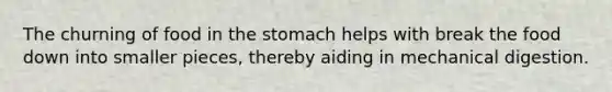 The churning of food in <a href='https://www.questionai.com/knowledge/kLccSGjkt8-the-stomach' class='anchor-knowledge'>the stomach</a> helps with break the food down into smaller pieces, thereby aiding in mechanical digestion.