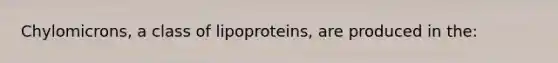 Chylomicrons, a class of lipoproteins, are produced in the: