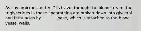 As chylomicrons and VLDLs travel through the bloodstream, the triglycerides in these lipoproteins are broken down into glycerol and fatty acids by ______ lipase, which is attached to the blood vessel walls.