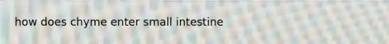 how does chyme enter small intestine