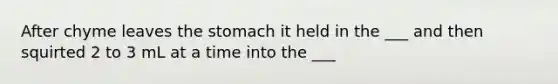 After chyme leaves the stomach it held in the ___ and then squirted 2 to 3 mL at a time into the ___