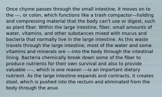 Once chyme passes through the small intestine, it moves on to the ---, or colon, which functions like a trash compactor—holding and compressing material that the body can't use or digest, such as plant fiber. Within the large intestine, fiber, small amounts of water, vitamins, and other substances mixed with mucus and bacteria that normally live in the large intestine. As this waste travels through the large intestine, most of the water and some vitamins and minerals are ---into the body through the intestinal lining. Bacteria chemically break down some of the fiber to produce nutrients for their own survival and also to provide valuable ----, which is one reason ---is an important dietary nutrient. As the large intestine expands and contracts, it creates stool, which is pushed into the rectum and eliminated from the body through the anus