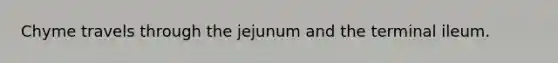 Chyme travels through the jejunum and the terminal ileum.