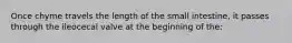 Once chyme travels the length of the small intestine, it passes through the ileocecal valve at the beginning of the: