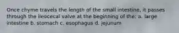 Once chyme travels the length of the small intestine, it passes through the ileocecal valve at the beginning of the: a. large intestine b. stomach c. esophagus d. jejunum