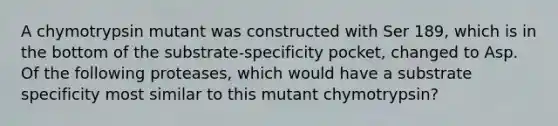 A chymotrypsin mutant was constructed with Ser 189, which is in the bottom of the substrate-specificity pocket, changed to Asp. Of the following proteases, which would have a substrate specificity most similar to this mutant chymotrypsin?