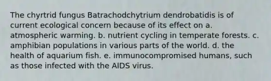 The chyrtrid fungus Batrachodchytrium dendrobatidis is of current ecological concern because of its effect on a. atmospheric warming. b. nutrient cycling in temperate forests. c. amphibian populations in various parts of the world. d. the health of aquarium fish. e. immunocompromised humans, such as those infected with the AIDS virus.