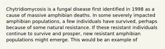 Chytridiomycosis is a <a href='https://www.questionai.com/knowledge/kYrZc0yJDB-fungal-disease' class='anchor-knowledge'>fungal disease</a> first identified in 1998 as a cause of massive amphibian deaths. In some severely impacted amphibian populations, a few individuals have survived, perhaps because of some natural resistance. If these resistant individuals continue to survive and prosper, new resistant amphibian populations might emerge. This would be an example of