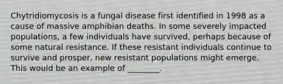 Chytridiomycosis is a <a href='https://www.questionai.com/knowledge/kYrZc0yJDB-fungal-disease' class='anchor-knowledge'>fungal disease</a> first identified in 1998 as a cause of massive amphibian deaths. In some severely impacted populations, a few individuals have survived, perhaps because of some natural resistance. If these resistant individuals continue to survive and prosper, new resistant populations might emerge. This would be an example of ________.