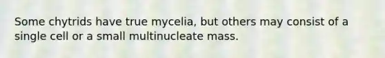 Some chytrids have true mycelia, but others may consist of a single cell or a small multinucleate mass.