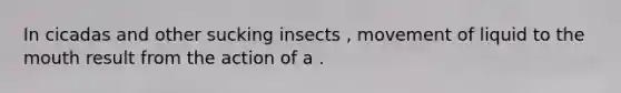 In cicadas and other sucking insects , movement of liquid to the mouth result from the action of a .