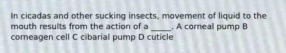 In cicadas and other sucking insects, movement of liquid to the mouth results from the action of a _____. A corneal pump B corneagen cell C cibarial pump D cuticle