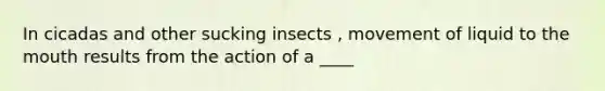 In cicadas and other sucking insects , movement of liquid to the mouth results from the action of a ____