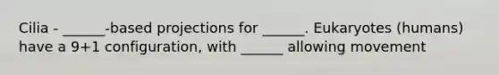 Cilia - ______-based projections for ______. Eukaryotes (humans) have a 9+1 configuration, with ______ allowing movement