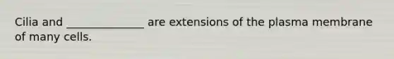 Cilia and ______________ are extensions of the plasma membrane of many cells.